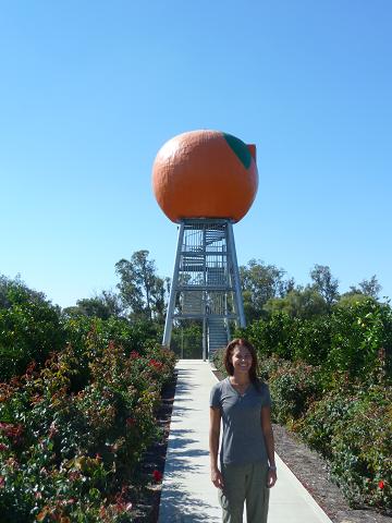 The Big Orange at Harvey, Australia